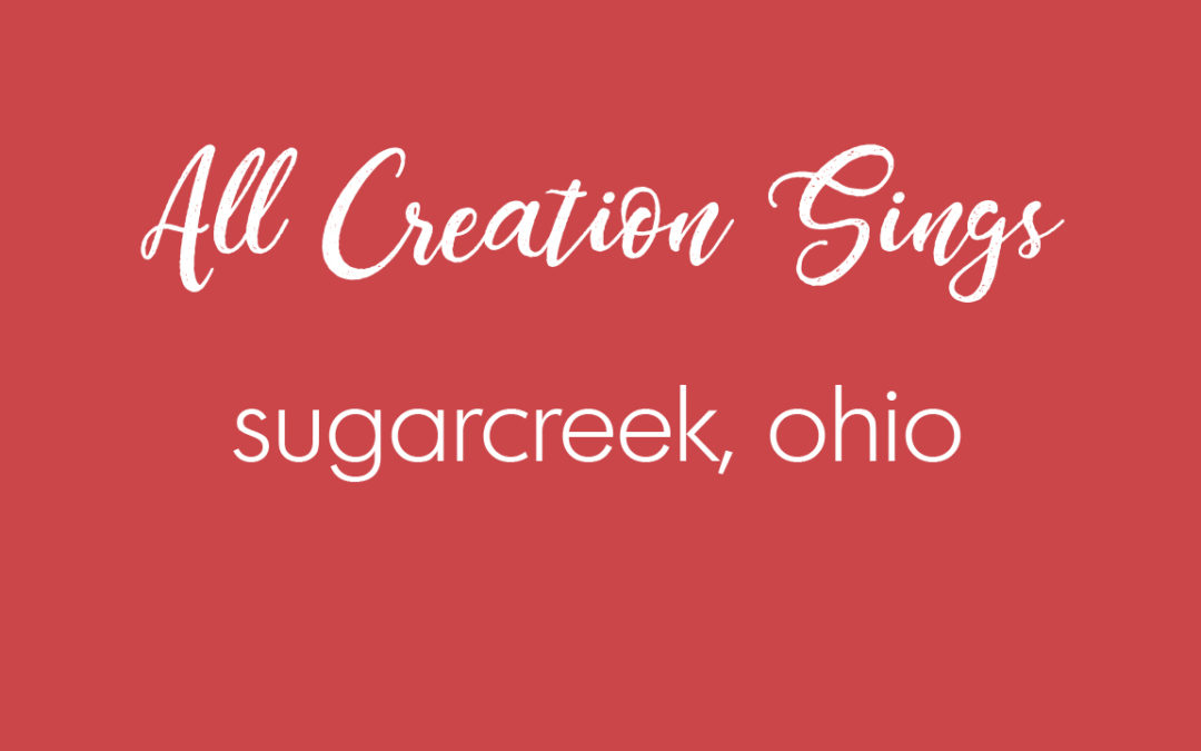 Phillips, Craig and Dean in Sugarcreek, Ohio March 9